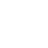 Passenger transport vehicles with more than 23 seats (driver included)